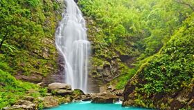Begin your visa-prepared day with Vietnam’s tranquil ambiance